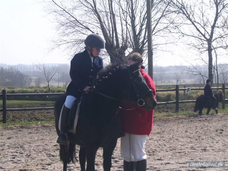 Anden særlig race Mirka Belinda R.I.P billede 18