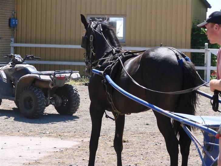 Traver Orlov Replay Mastery  billede 15