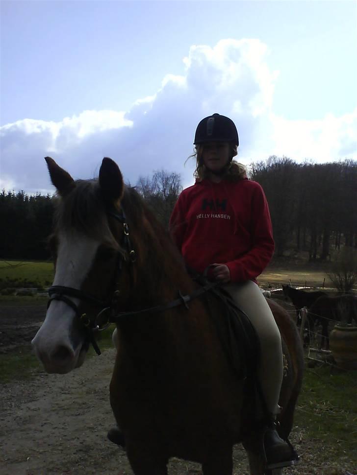 Welsh Pony (sec B) Chilli *Gammel part* - Mig der skal ud og ride på Chilli for første gang :o) Jubii, det var sjovt.. billede 12