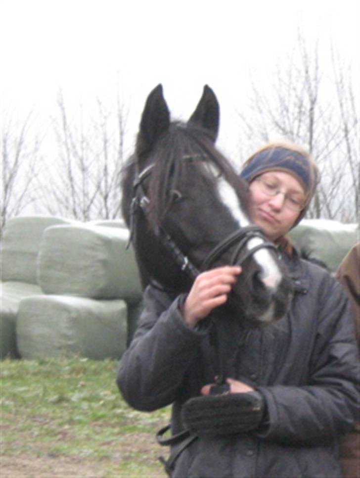 DSP Welvet af kongshøj <3 - Vores sidste dag sammen, mine øjene løber stadig i vand, når jeg tænker på alt det vi to har gennemgået. Du vil ALTID være noget specielt for mig  billede 20