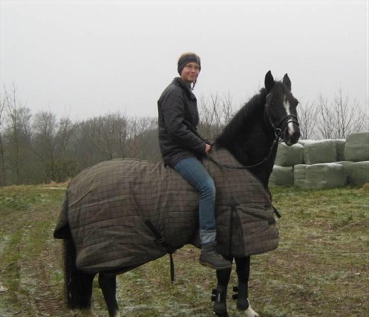 DSP Welvet af kongshøj <3 - Vores sidste dag sammen, det var en af de værste dage i mit liv. BEKLAGER den manglede hjelm. billede 4