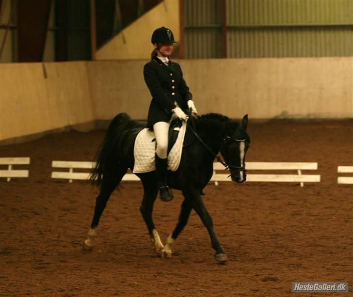 DSP Welvet af kongshøj <3 - Langbenet? ikke spor ;-P 29 november - min 16 års fødeslsdag - taget af Charlotte billede 7