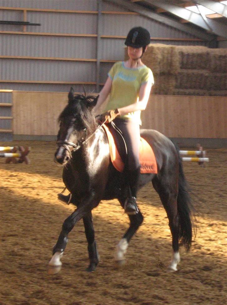 DSP Welvet af kongshøj <3 - Træning - vores 1 undervisningstime i dressur. d. 20 maj billede 8