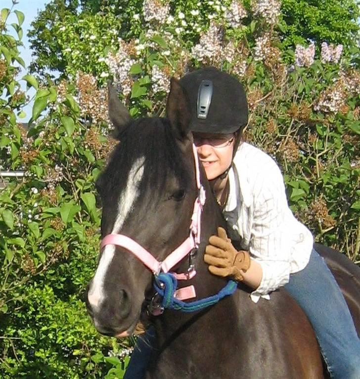 DSP Welvet af kongshøj <3 - Evig og altid <3 billede 2