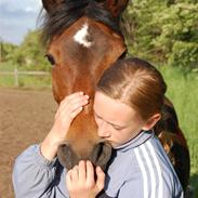 Anden særlig race Gazel himmelhest!:'(<3