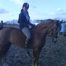 Anden særlig race Østergårdens Easy - solgt