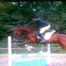 Holstener Miss Money Penny Solgt:(