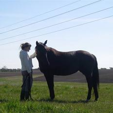 Oldenborg Labine Hjortelund