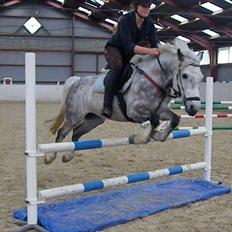 Connemara Teglstrups Samos