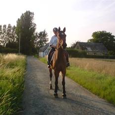 Anden særlig race Milton 