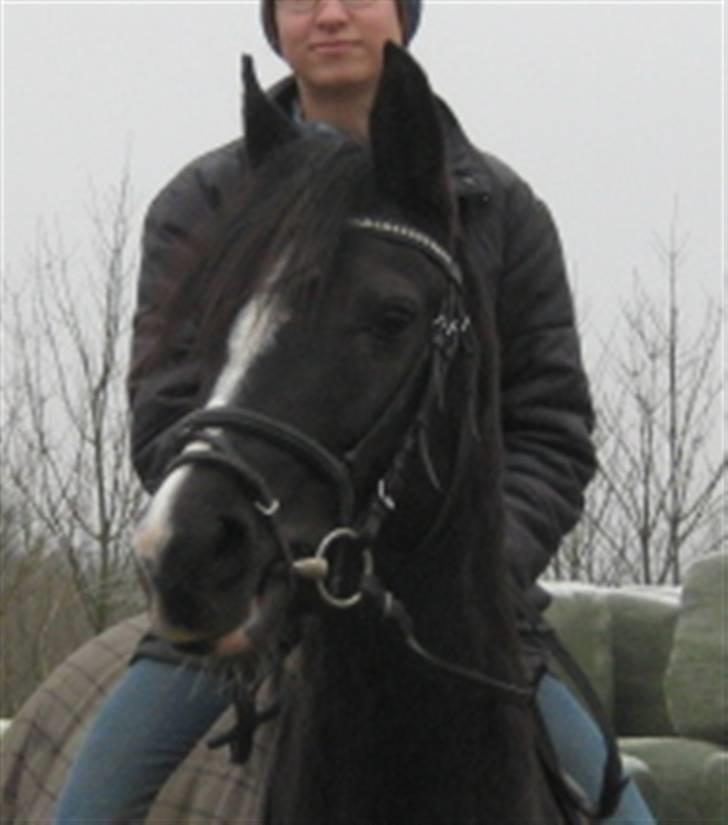 DSP Welvet af kongshøj <3 - I was a dreamer, but you had shown me anything special.  billede 17