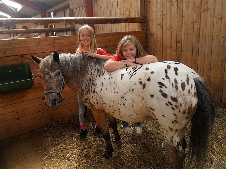 Appaloosa Pippi [Drømmeponyen] - Enghøjs ponyclub 2010 
Sammen med Didde :D. billede 2