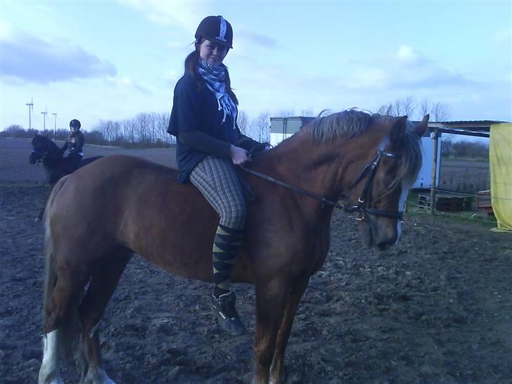 Anden særlig race Østergårdens Easy - solgt - Smuk er hun jo <3 billede 1