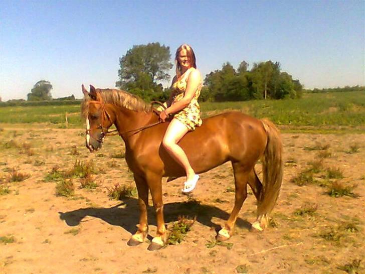 Anden særlig race Østergårdens Easy - solgt - dejlig <3 billede 4