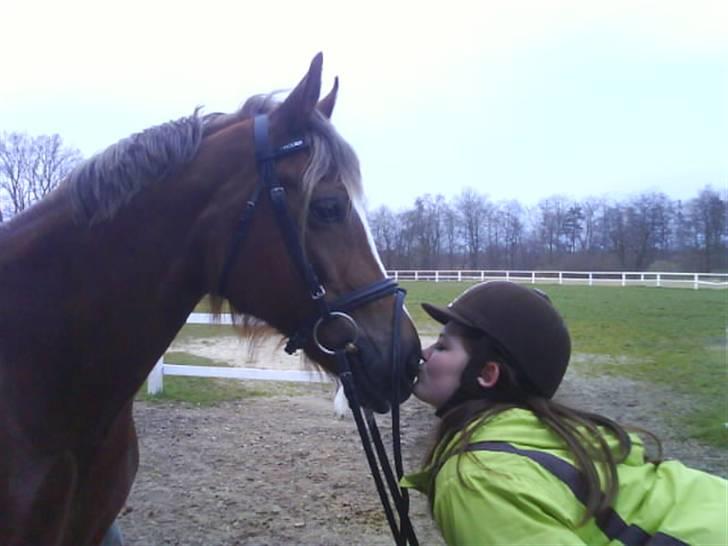 Anden særlig race Østergårdens Easy - solgt - kyss kyss til easy mussen <33 billede 6