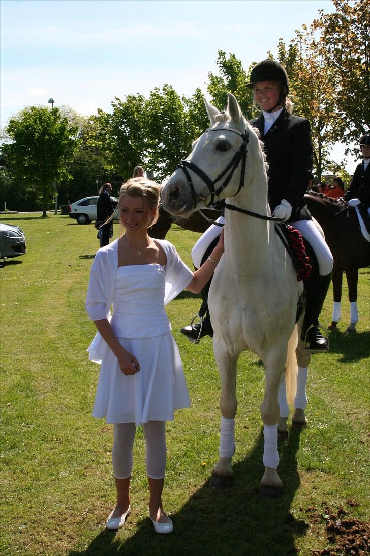 Connemara Veddinge Fit-For-Fight - B pony - SOLGT - Min konfirmation... :b billede 16