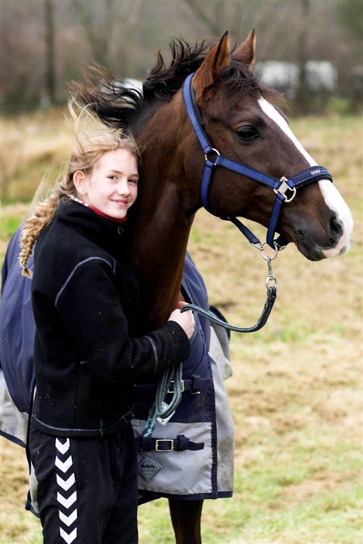 DSP Ferrai - Os. <3  Taget af Lenaelsborg.dk billede 9