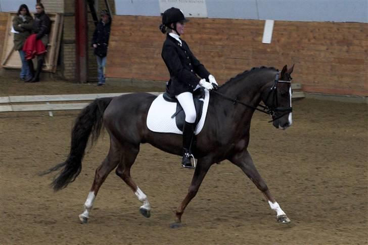 DSP Ferrai - øgning :) Taget af Lenaelsborg.dk billede 16