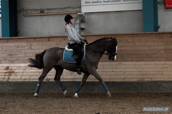 DSP Ferrai - (nyt) genoptræning i november, derfor ikke samlet fortil. Taget af Lenaelsborg.dk billede 19