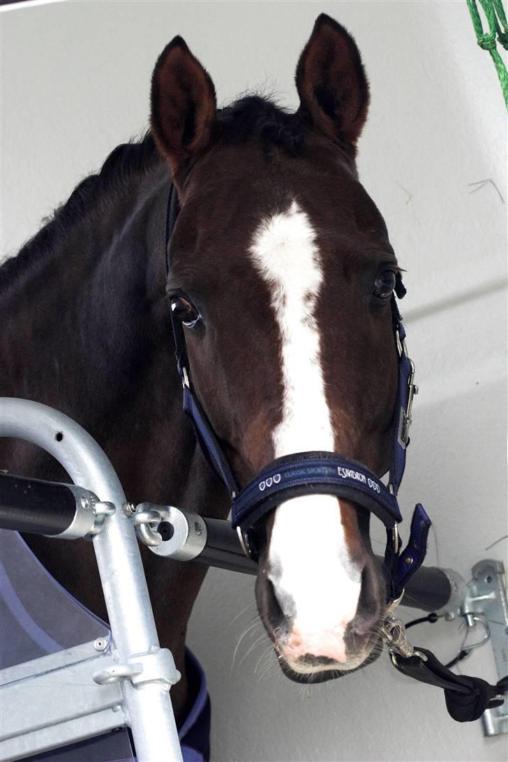 DSP Ferrai - Vi ses, skal ud og køre nu ;D skriv gerne en kommentar. Taget af Lenaelsborg.dk billede 20