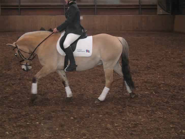 Anden særlig race Frede <3 Lånt Videre :/ billede 13