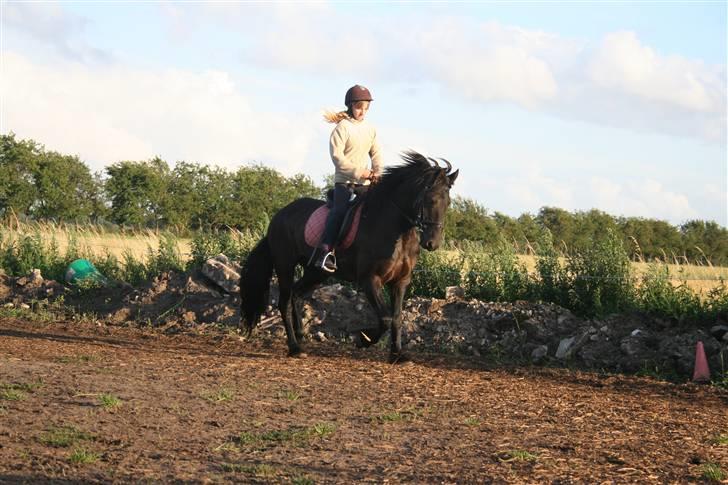 Frieser Carla R.I.P - Nyt taget d 11 juli. Det nye sted hun er opstaldet, dressur efter minimum 1½ uges pause og ingen seriøs ridning så hun gjorde det bare super godt!:) billede 8