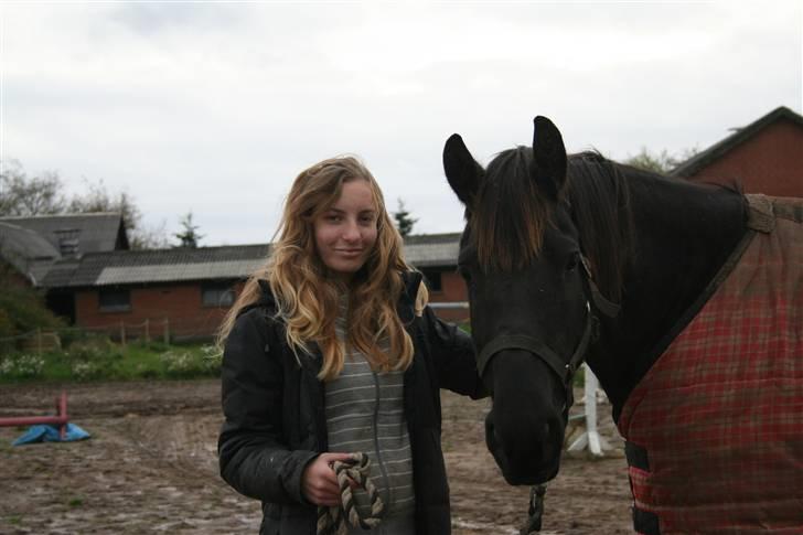 Frieser Carla R.I.P - Mig og Carla idag d19. Oktober Det er en helt andet hest efter blot 5½ mdr billede 11