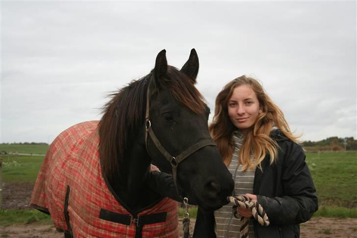 Frieser Carla R.I.P - Mig og Carla idag d19. Oktober Det er en helt andet hest efter blot 5½ mdr billede 12