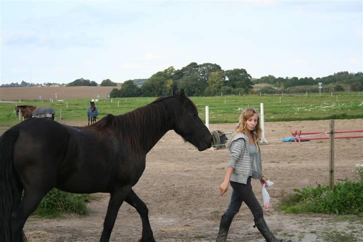 Frieser Carla R.I.P - Carla følger efter mig på en lille fold nyt taget d 20 september 08 billede 15