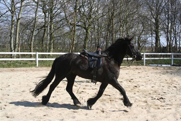 Frieser Carla R.I.P - Er VILD med det her billed!:D billede 18