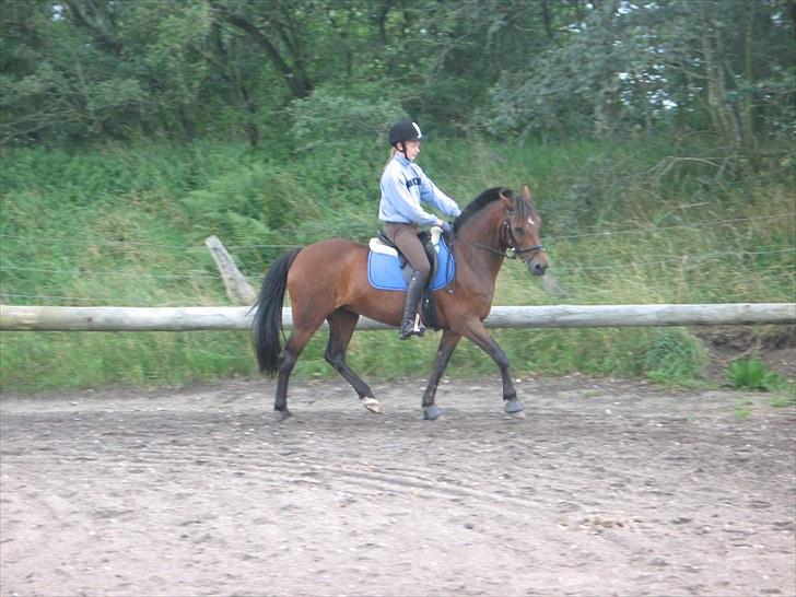 Anden særlig race Gazel himmelhest!:'(<3 - :-) billede 8