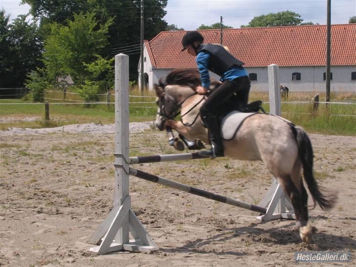 Anden særlig race Snebold  - Mig og Snebold springer <´3 Foto: Andrea billede 2