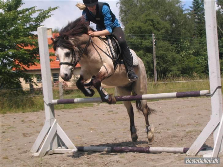 Anden særlig race Snebold  - Snebold og jeg springer :D Foto: Andrea billede 3