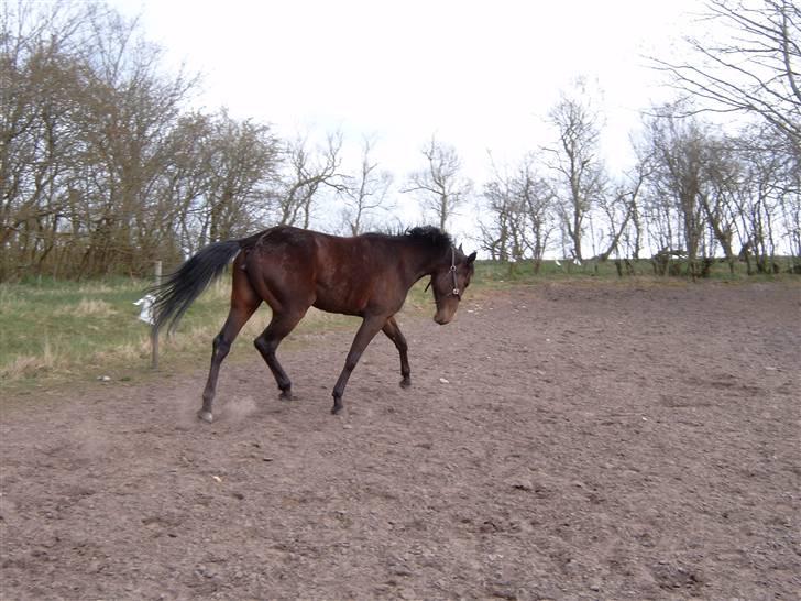 Traver  - Natasja Å - 9; Hvor er hun dejlig. billede 9