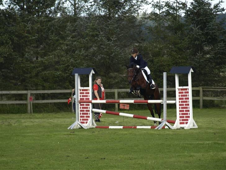 Anden særlig race lucky star billede 4