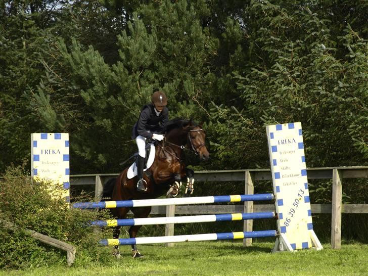 Anden særlig race lucky star billede 5