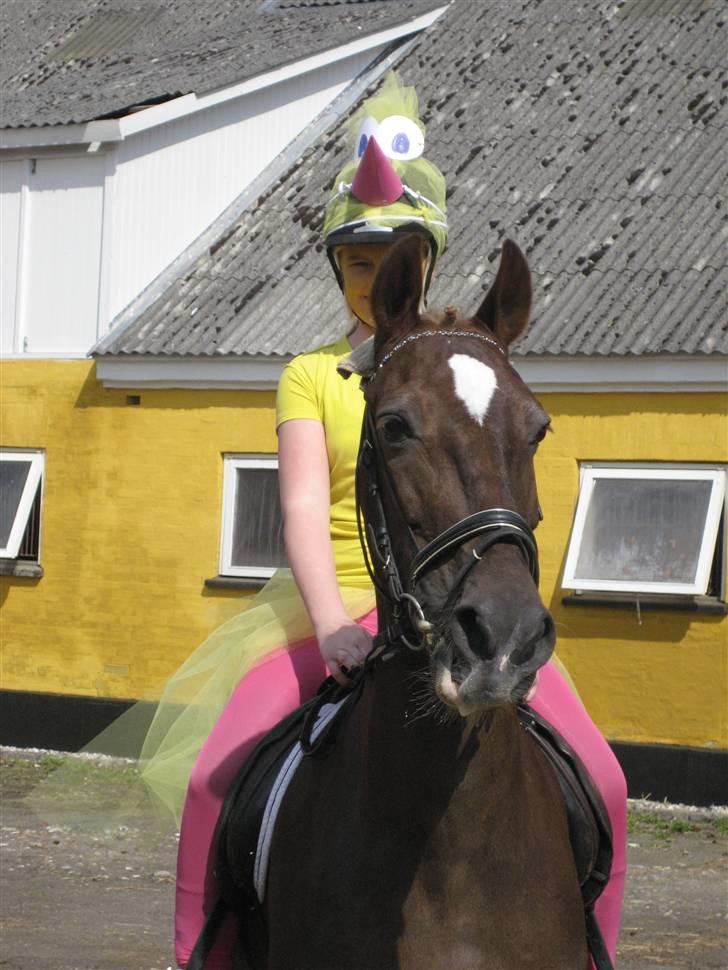 Anden særlig race Madonna<33  - Mig Donna til kvadrille:D billede 5