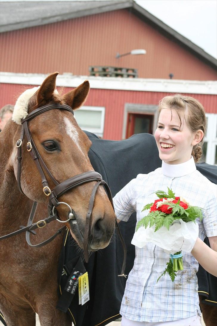 Hollandsk Sportspony Benton Harbour  - KLUBMESTER I PONYDRESSUR KRK 2010! :´D billede 3