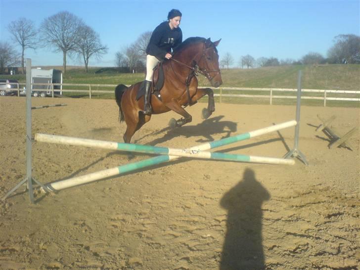 Traver Lady vangsgaard Solgt. - > I <3 Lady <  så er der dømt spring !! :D billede 19