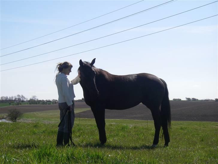 Oldenborg Labine Hjortelund - Lamse og min mor billede 1