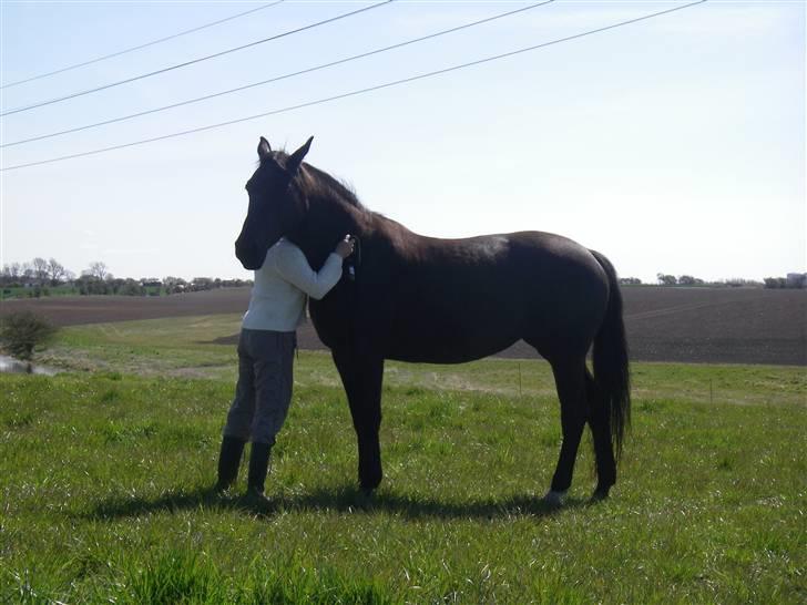 Oldenborg Labine Hjortelund - Lamse og min mor billede 4