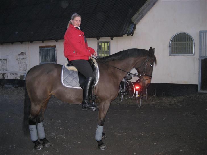 Dansk Varmblod Sacha R.I.P billede 2