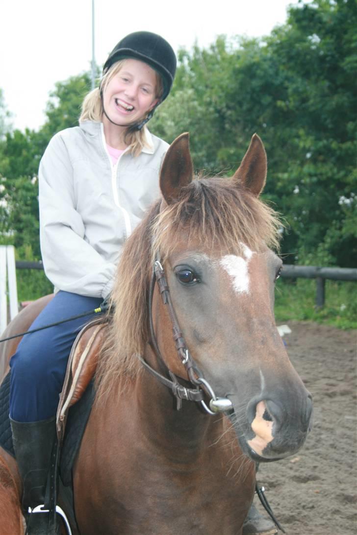 New Forest Sunset - LAURA & SUNSET <33 foto: miig billede 16