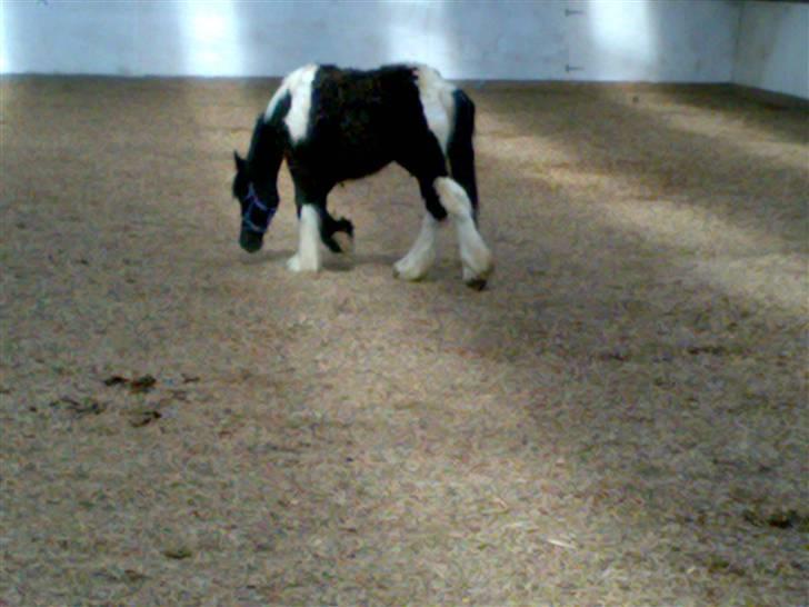 Tinker Thor solgt:-( - tager lige en slapper;-) billede 8