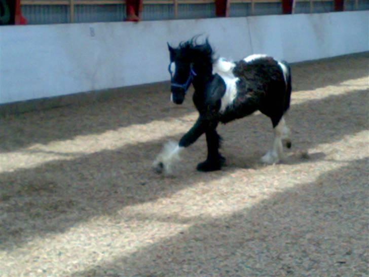 Tinker Thor solgt:-( - ja han viser lige sin gang. billede 9