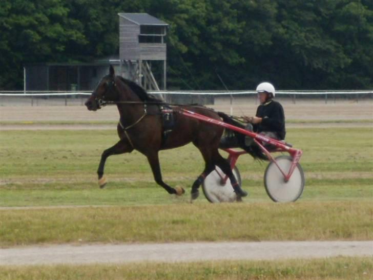 Traver  - Natasja Å - 11; Træning i Aalborg d. 8 juli :). billede 11