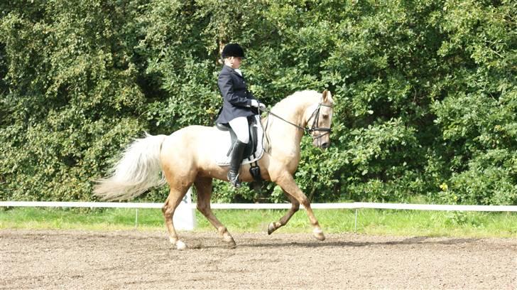 Anden særlig race Natalina*Blondie* - Galop i PRI i BIG:) billede 20