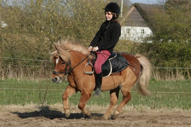 Anden særlig race Smølf (tot) - Tot og Mia i fuld fart Foto: Schmølz billede 3