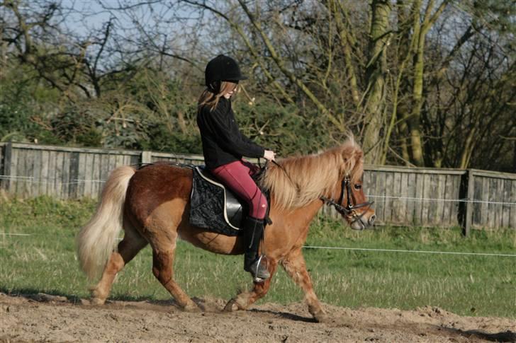 Anden særlig race Smølf (tot) - med Mia igen :) Foto: schmølz billede 8