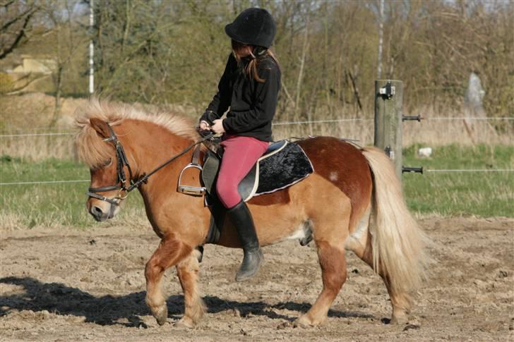 Anden særlig race Smølf (tot) - se hvor dygtig han er? Foto: schmølz billede 13